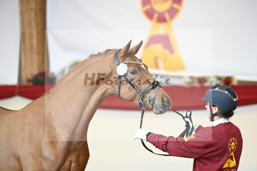 Kat-Nr. 73 Vaderland_Galneder_1231506 | hf-fotografie - Realisiert mit Pictrs.com
