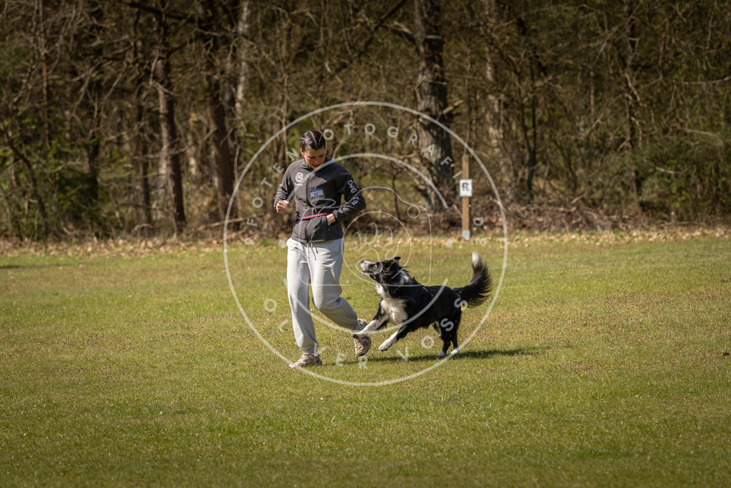 Pfotenfotografie_DV3A1147 | Hundefotografie, Tierfotograf, Pfotenfotografie, Fotoshooting Hund, Hunde Portrait, Hundesport, Hundeportraits, Heideshooting, Hunde, Sportfotograf, Hundefotograf, Turnierhundsport, THS,  - Realisiert mit Pictrs.com