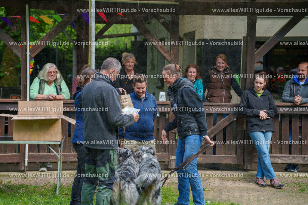 @allesWIRTHgut_Tierfotografie - www.allesWIRTHgut.de - 7R502327 | Professionelle Tierfotografie in Mönchengladbach von Daniel Wirth (allesWIRTHgut). Liebevolle & natürliche Bilder von Hunden & Katzen für unvergessliche Erinnerungen.
