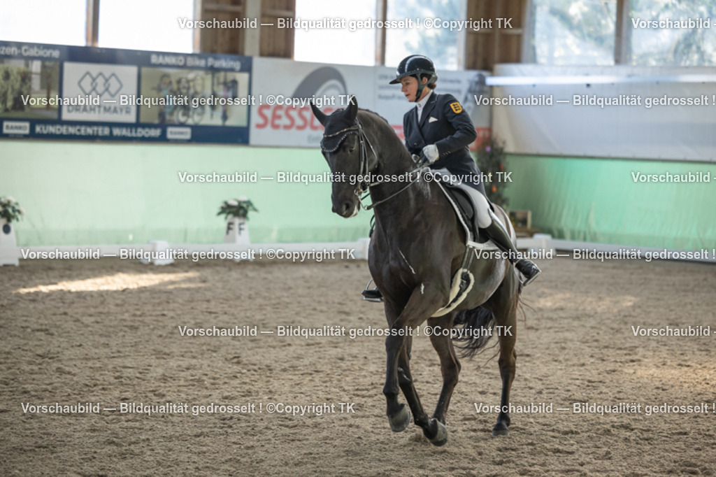 _D5A0548 | Emotionale Pferde- & People-Fotografie rund um Heidelberg, Leimen & Umgebung. Natürliche Fotos von Pferd, Mensch & Familie. Jetzt Termin sichern!