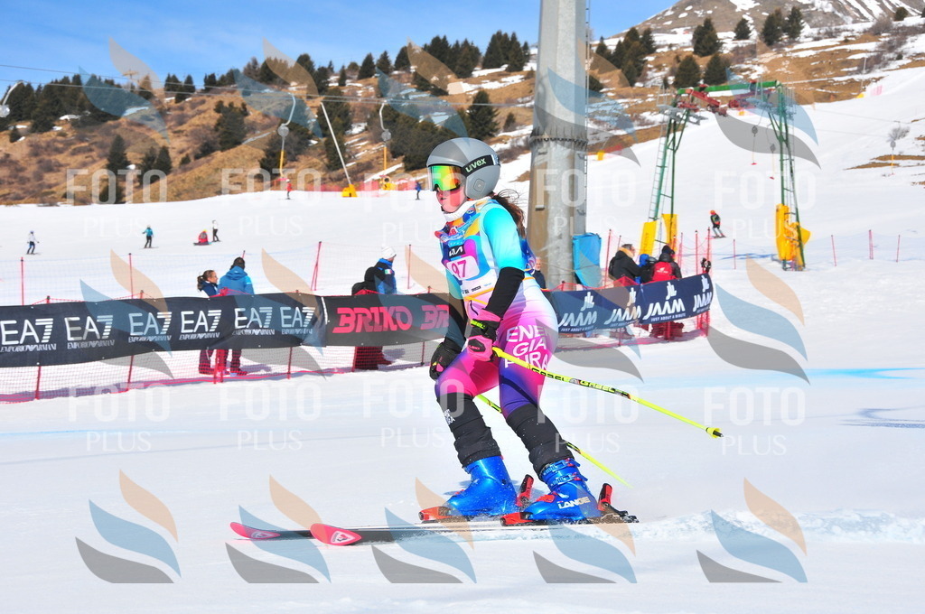 DSC_4569 | holidayphoto