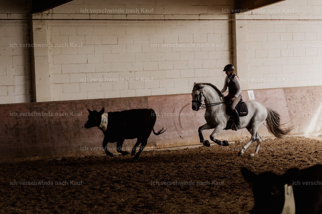 WM_COW_83_SinaFilmArt_IN04590 | working equitationturnier fotograf videograf stoibphotography marixx film working equitation deutschland reitsport turnierfotografie eventfotografie equestrian events