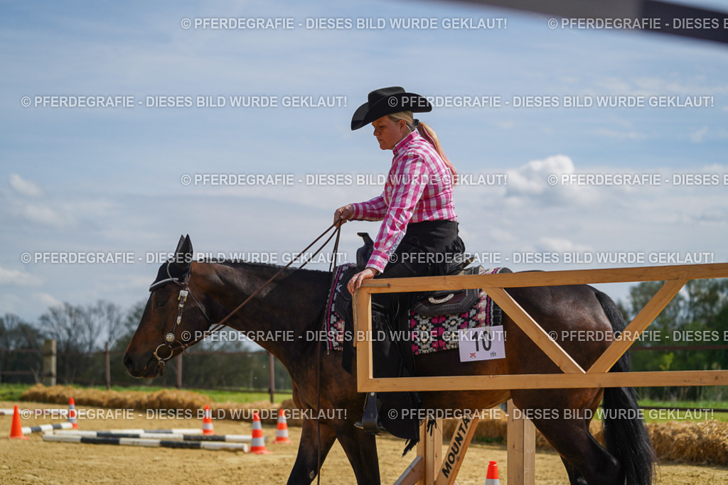 DSC05154 | Pferdegrafie