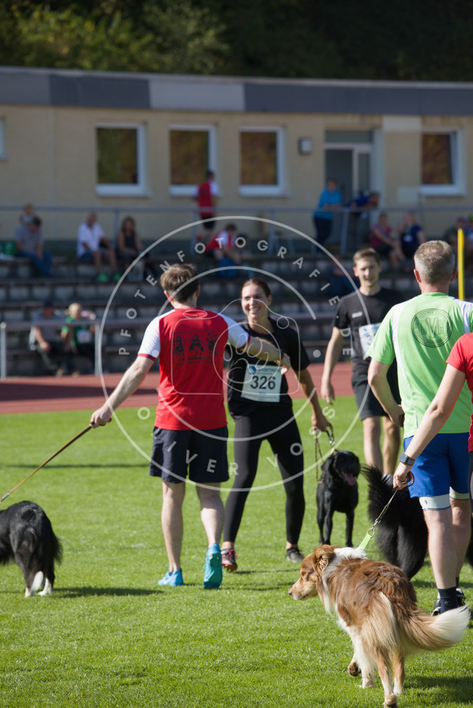 0L8A8834 | Hundefotografie, Tierfotograf, Pfotenfotografie, Fotoshooting Hund, Hunde Portrait, Hundesport, Hundeportraits, Heideshooting, Hunde, Sportfotograf, Hundefotograf, Turnierhundsport, THS,  - Realisiert mit Pictrs.com