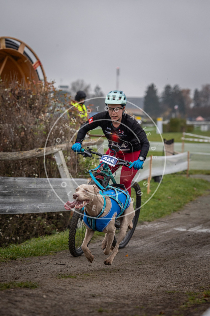 CaniXpix_0L8A1708 | Hundefotografie, Tierfotograf, Pfotenfotografie, Fotoshooting Hund, Hunde Portrait, Hundesport, Hundeportraits, Heideshooting, Hunde, Sportfotograf, Hundefotograf, Turnierhundsport, THS,  - Realisiert mit Pictrs.com