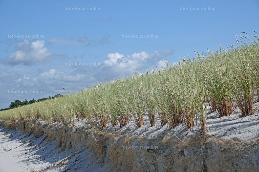 North Beach, Darß | foto-focus-online