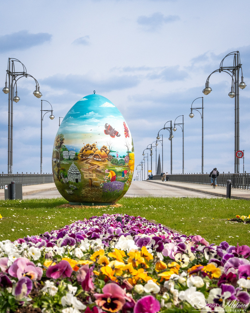 DSC_1868 2 | Fotografien, Fotos und Bilder aus Mainz, Frankfurt, Wiesbaden und anderen Orten auf der Welt - Fotografiert von Darius Metzner