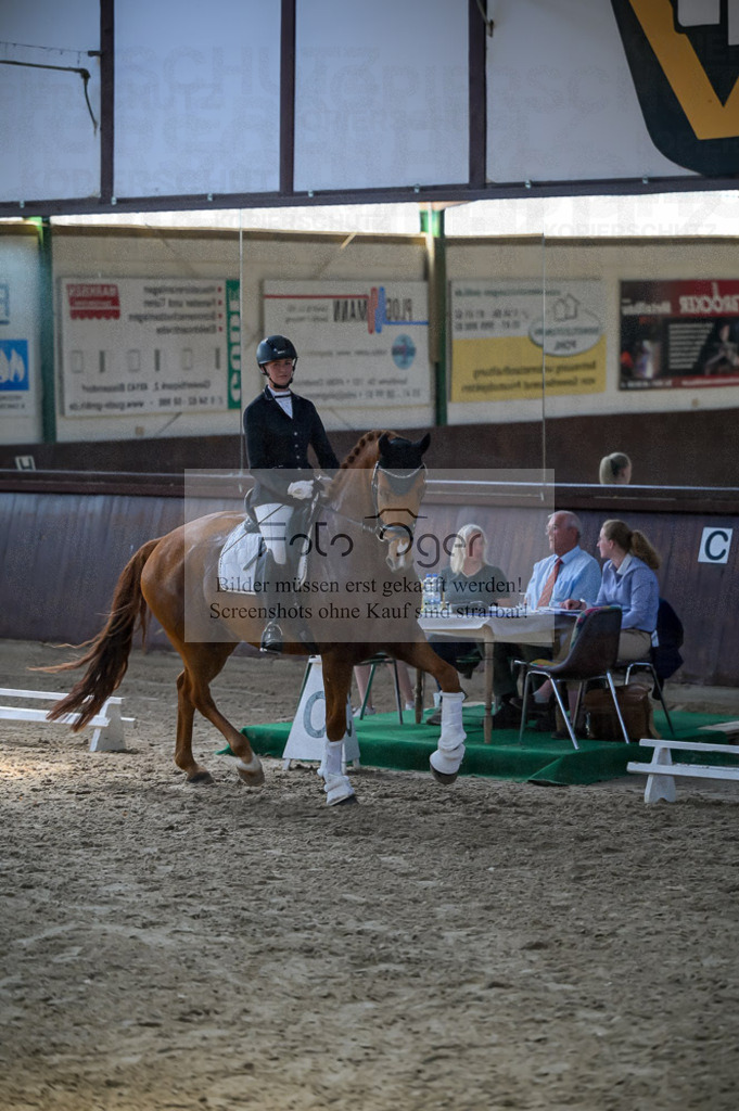 Reitturnier Voxtrup | Entdecke hochwertige Reitturnierfotos von Foto Oger. Professionell, emotional und authentisch – jetzt Lieblingsmomente im Shop bestellen.Deutschlandweite Turnierfotografie. - Realisiert mit Pictrs.com