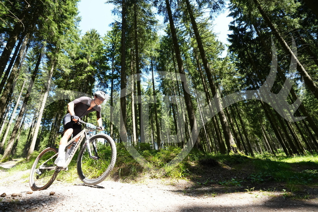 FC100631 | Fotogalerie der Treibjagd im Dunkelwald - Dein MTB Etappenrennen im Erzgebirge - Realisiert mit Pictrs.com