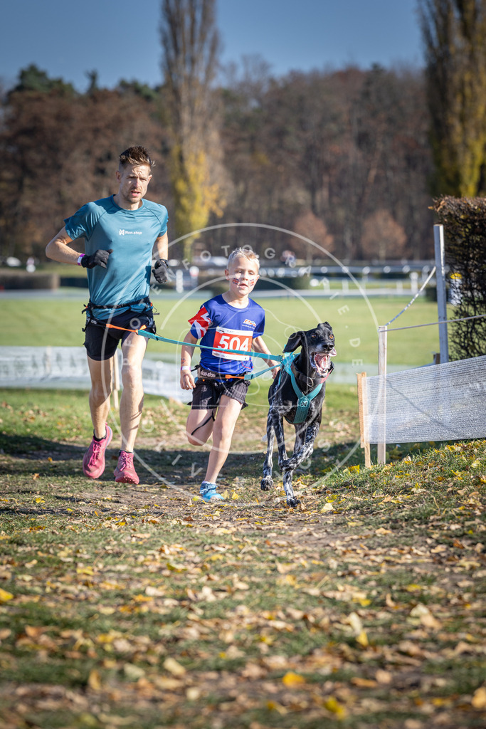 CaniXpix_DV3A7845 | Hundefotografie, Tierfotograf, Pfotenfotografie, Fotoshooting Hund, Hunde Portrait, Hundesport, Hundeportraits, Heideshooting, Hunde, Sportfotograf, Hundefotograf, Turnierhundsport, THS,  - Realisiert mit Pictrs.com