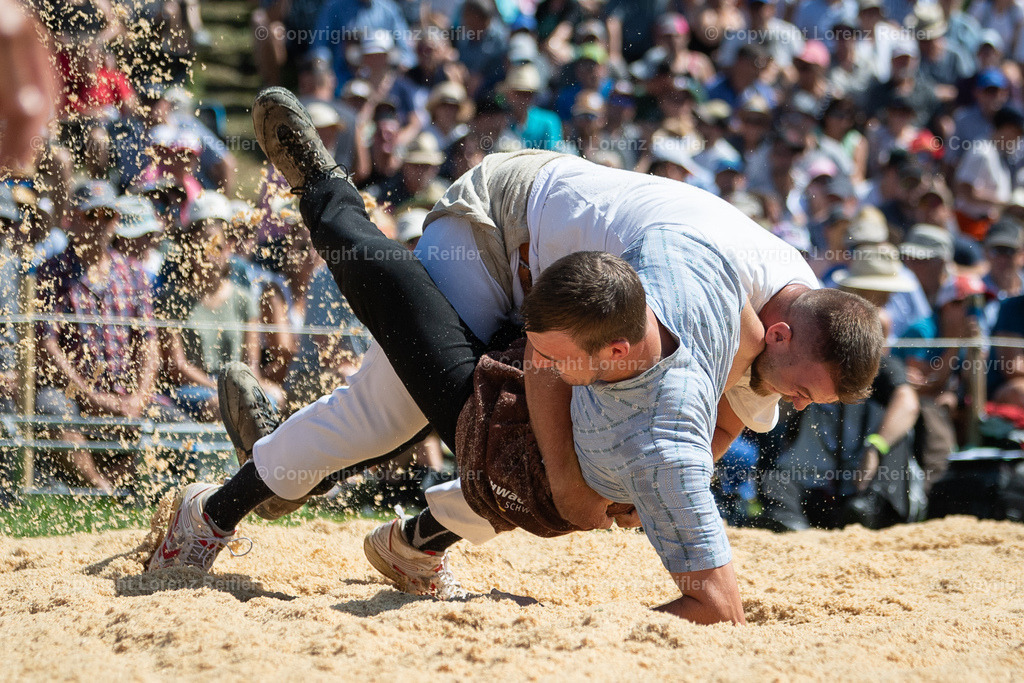 Schwingen -  Schwägalpschwinget 2023 | Schwägalp, 20.8.23, Schwingen - Schwägalpschwinget.