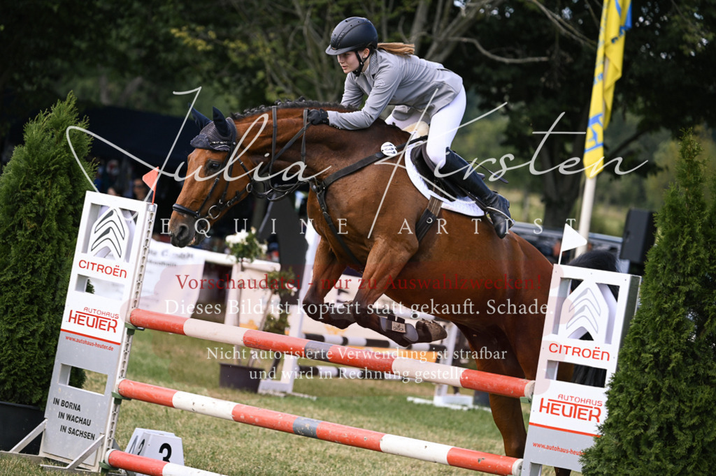 DSC_0572 | Pferde- und Turnierfotografie in Westsachsen. Pferdeportraits, Auftragszeichnungen und intuitive Kunst.