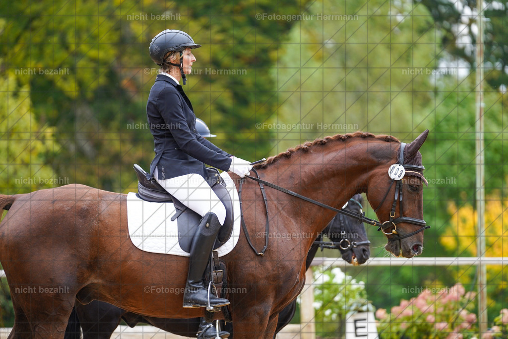20221008-FAH01537 | Diessen am Ammersee, 2022, Dressur- und Springturnier, Reitsportbilder, Turnierfotografen Bayern, Pferdefotografen, Fotoagentur Herrmann, Turnierbilder