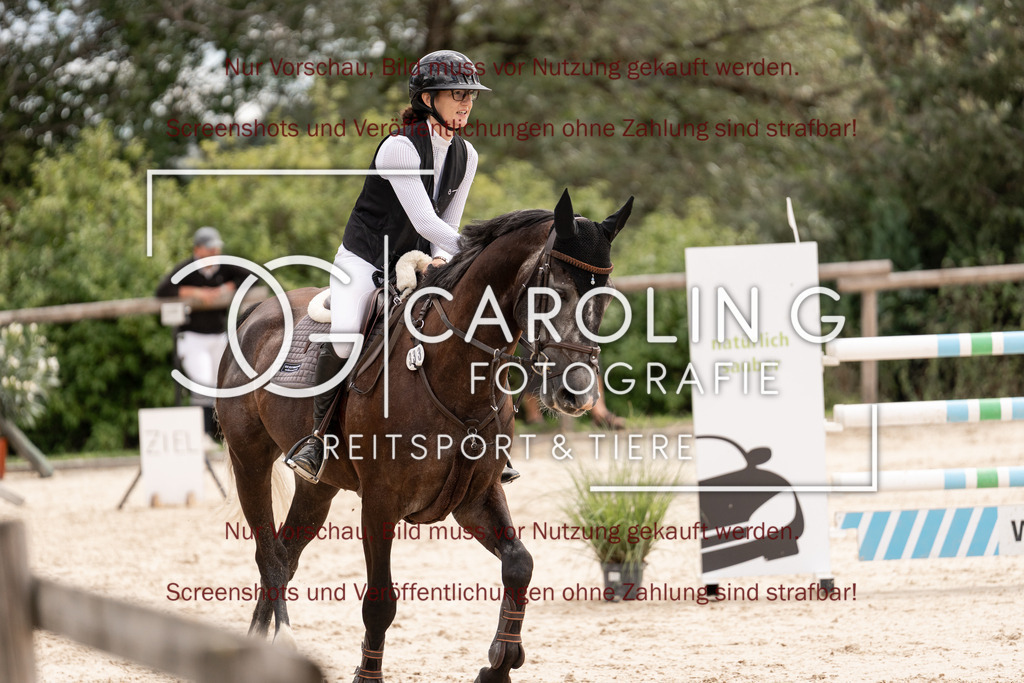DSC06484 | Springturnier_Teamchallege_Talheim_2026, Janine_Milz, Usted_vd_Donkhoeve