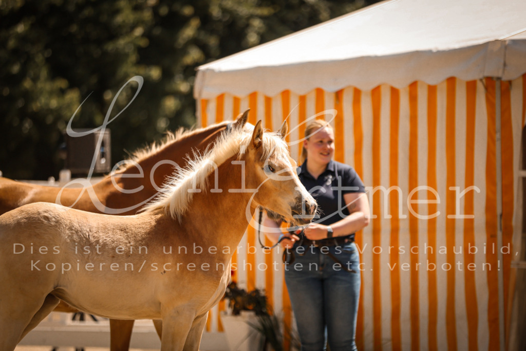 06.DoH00026 | Leoni Ertmer Photography - Realisiert mit Pictrs.com