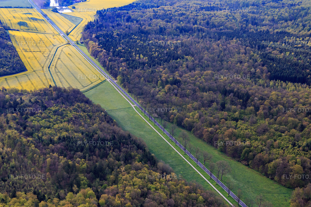 Luftbild: Allee im Wald in Bürgerwald im Bundesland Bayern in Deutschland. Foto: IMG_087790.jpg vom 05.05.2016 durch Werner Riehm/FLY-FOTO.de