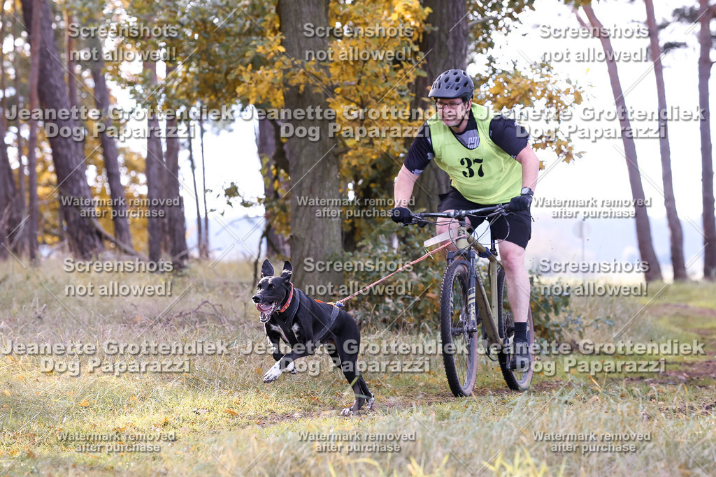 Dog Paparazzi - Elsholz 25 -144 | Dog Paparazzi Jeanette Grottendiek Fotografie & Videografie - Realisiert mit Pictrs.com