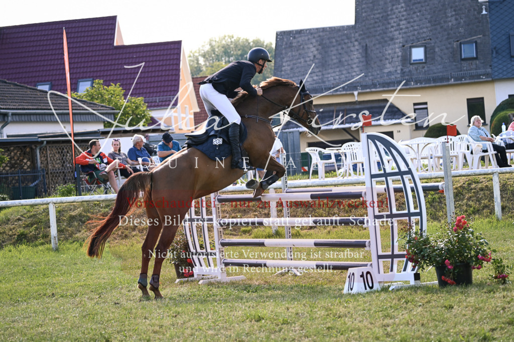DSC_1489 | Pferde- und Turnierfotografie in Westsachsen. Pferdeportraits, Auftragszeichnungen und intuitive Kunst.