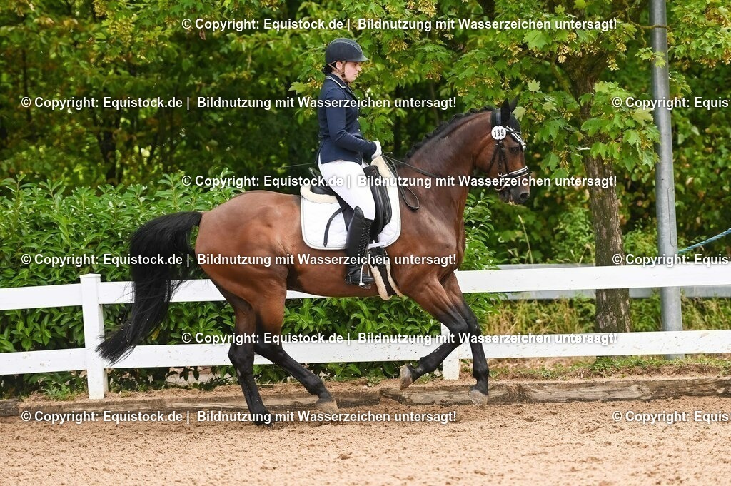 20230716_04_Dressurreiterprüfung Kl.A_0283 | equistock