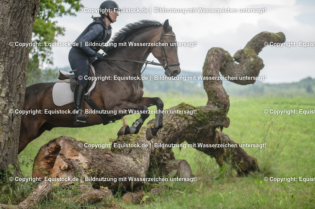 20250726_Vielseitigkeitslehrgang-Marbach_0806 | Foto: Thomas Hartig