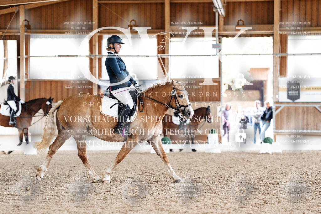 CK900623 | Turnierfotografie Pferdefotografie Trier Rheinland-Pfalz Pferdesport Reitsport Tierfotografie Sportfotografie Pferdevideo Pferdevideografie Equestrianvideography equestrianphotography  - Realisiert mit Pictrs.com