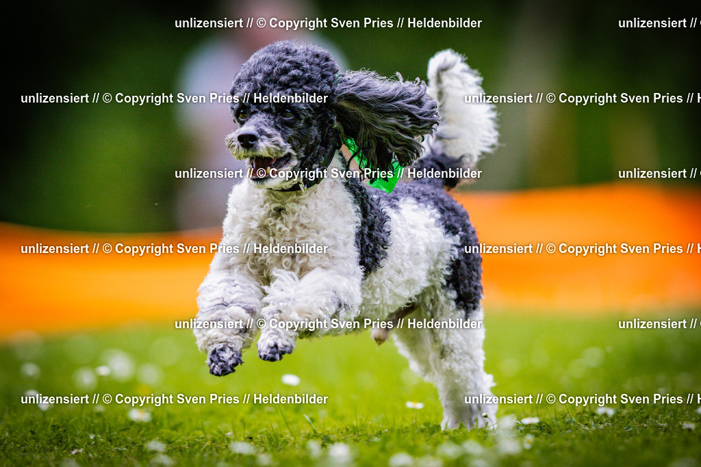 Sven Pries | 2025-05-29 - Pudelrennen KA-Durlach - Realisiert mit Pictrs.com