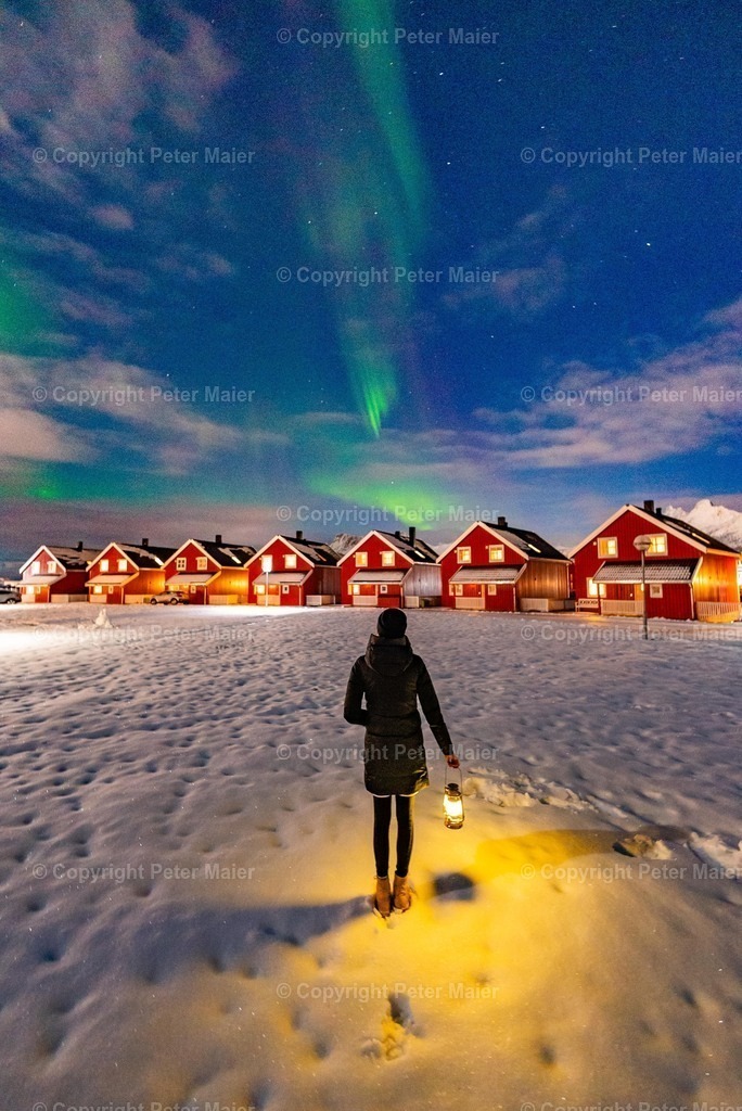 Lofoten_Nov_2023_Peter_Maier-3931 | piet_flosse