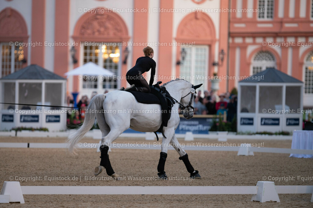 20230527_Voltigieren_NASPA_Flutlicht_0080 | equistock