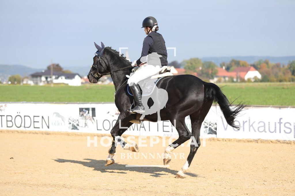 0P6A8051 | Willkommen bei Brunnmayr - Design & Fotografie – Ihrem Spezialisten für Reitturniere und Pferdeveranstaltungen in Oberösterreich, Salzburg und Bayern! Seit über 17 Jahren sind wir leidenschaftlich dabei.