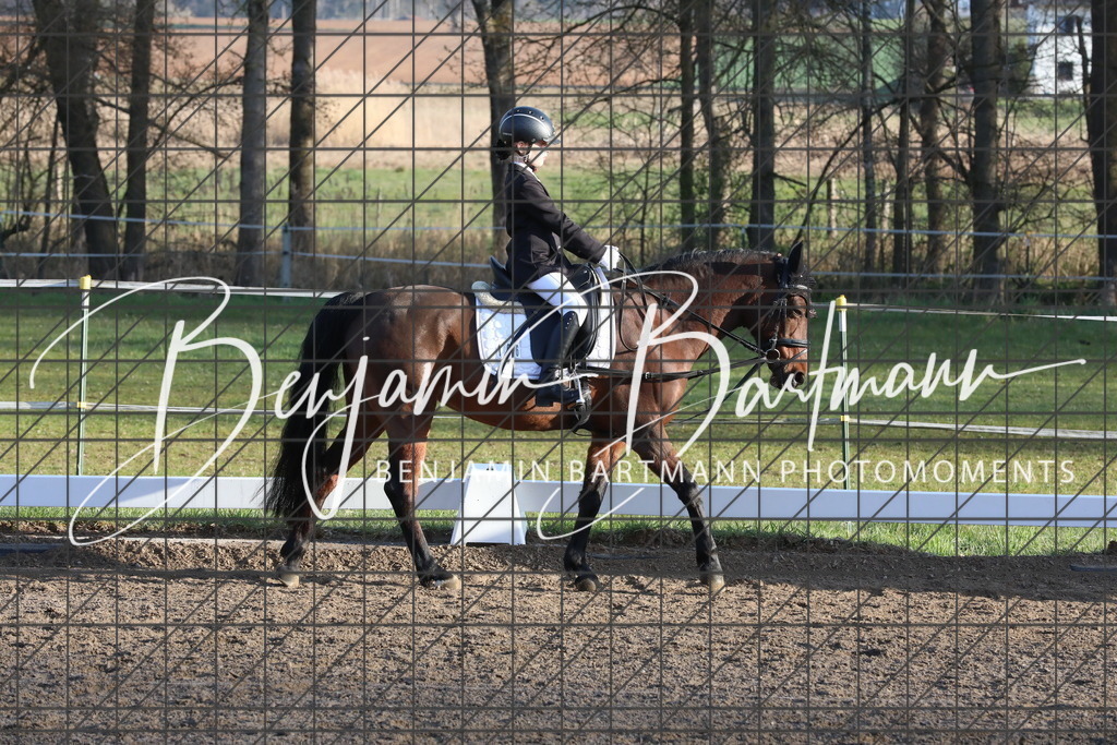 AZ2A2409 | Benjamin Bartmann Photomoments