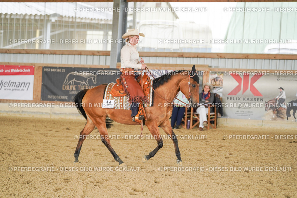 DSC03079 | Pferdegrafie