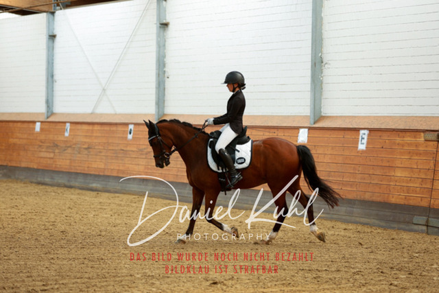 _62_6480 | Turniersportfotografie; Pferdefotografie; Dressurfotografie