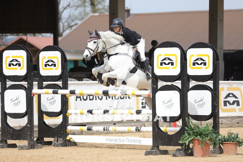 0P6A6295 | Willkommen bei Brunnmayr - Design & Fotografie – Ihrem Spezialisten für Reitturniere und Pferdeveranstaltungen in Oberösterreich, Salzburg und Bayern! Seit über 17 Jahren sind wir leidenschaftlich dabei.