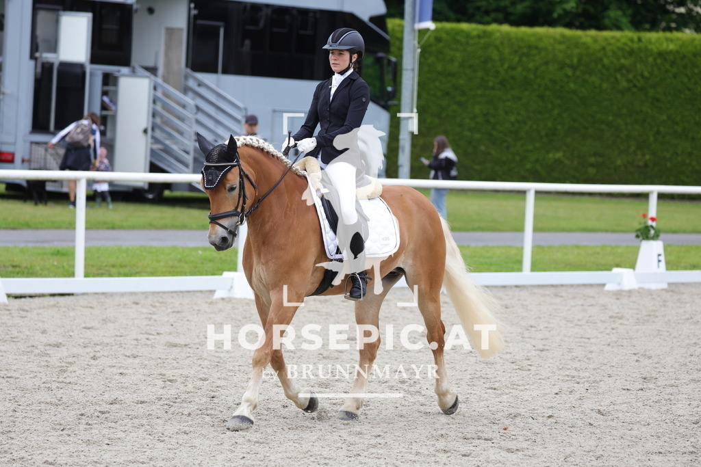 0P6A4389 | Willkommen bei Brunnmayr - Design & Fotografie – Ihrem Spezialisten für Reitturniere und Pferdeveranstaltungen in Oberösterreich, Salzburg und Bayern! Seit über 17 Jahren sind wir leidenschaftlich dabei.