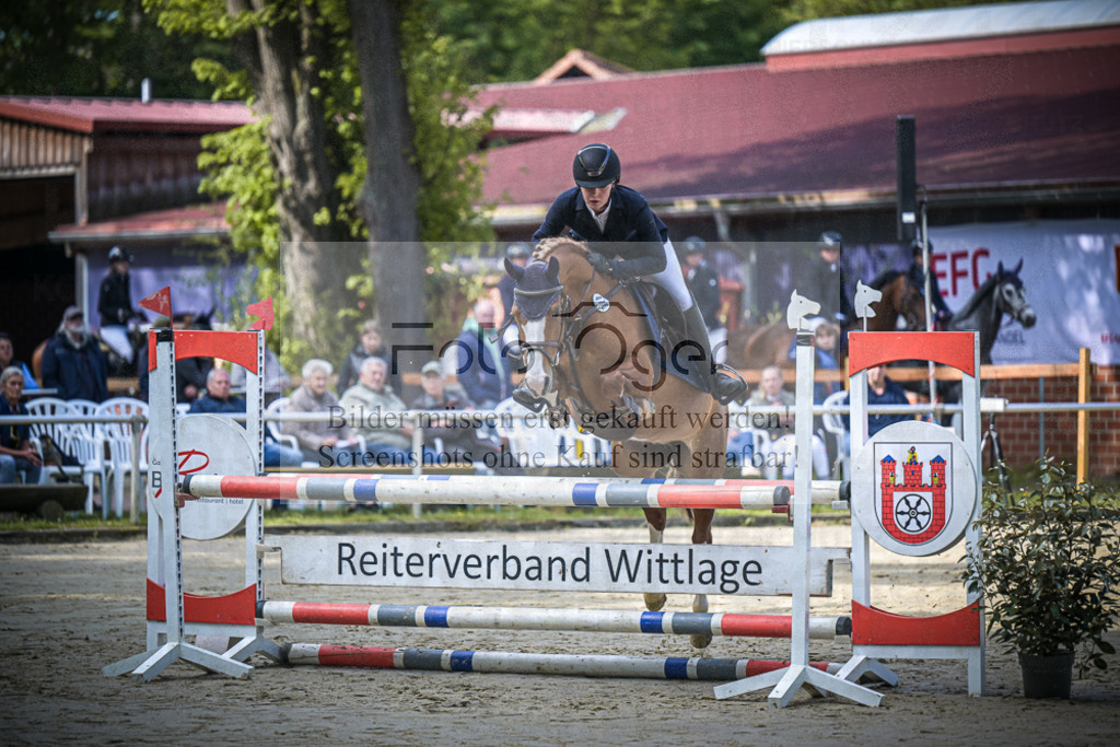 DOS_5953 | Entdecke hochwertige Reitturnierfotos von Foto Oger. Professionell, emotional und authentisch – jetzt Lieblingsmomente im Shop bestellen.Deutschlandweite Turnierfotografie. - Realisiert mit Pictrs.com