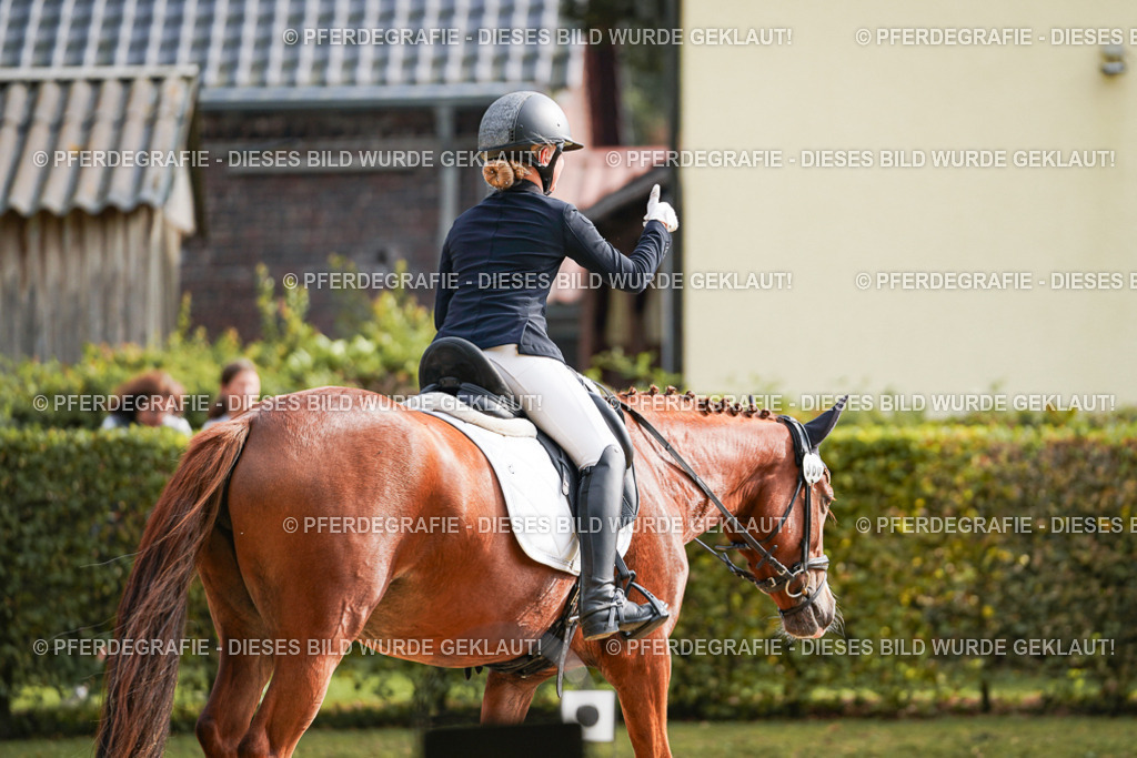 DSC05285 | Pferdegrafie