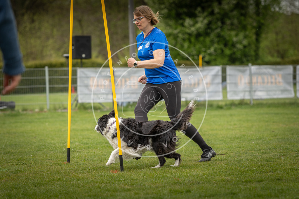 Pfotenfotografie_DV3A2079 | Hundefotografie, Tierfotograf, Pfotenfotografie, Fotoshooting Hund, Hunde Portrait, Hundesport, Hundeportraits, Heideshooting, Hunde, Sportfotograf, Hundefotograf, Turnierhundsport, THS,  - Realisiert mit Pictrs.com