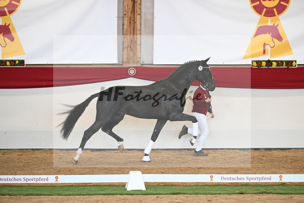 Kat.-Nr. 71 v. Jameson RS2_Greim_2250586 | hf-fotografie - Realisiert mit Pictrs.com