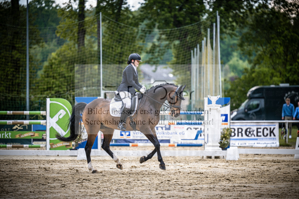 DOS_2667 | Reitturnier Venne - Realisiert mit Pictrs.com