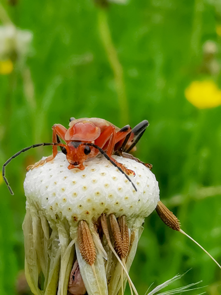 PSX_20230526_232743 | mtkfoto_ - Realisiert mit Pictrs.com