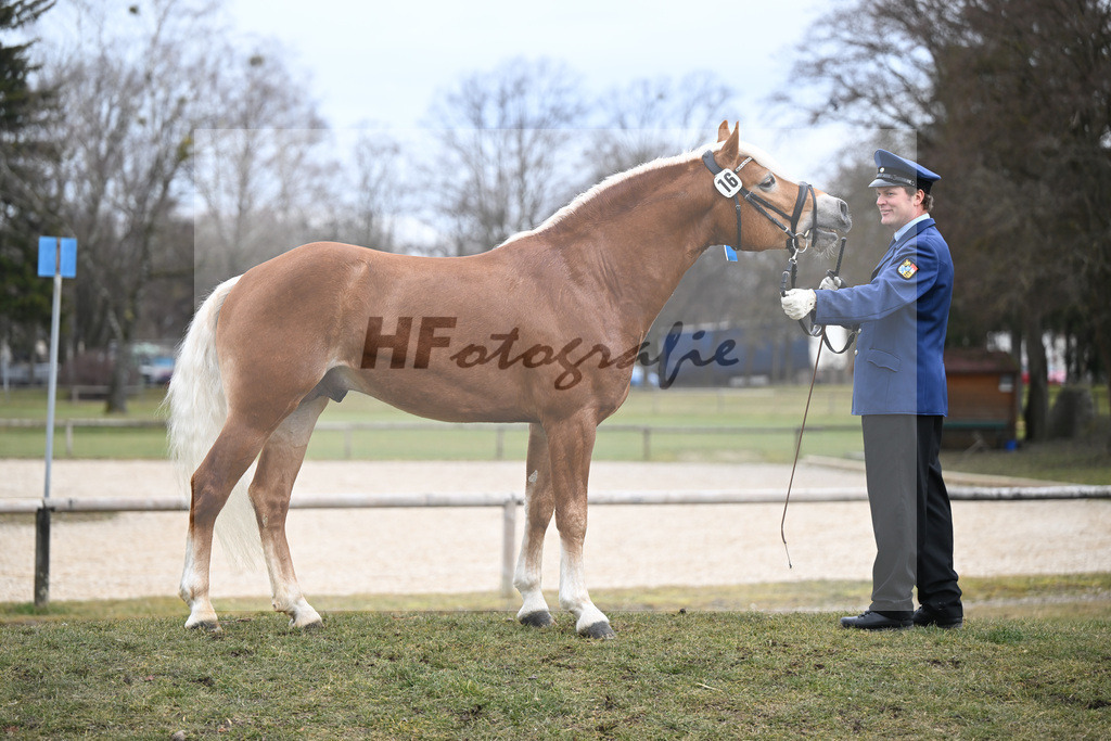 Kat-Nr. 16 v. Sturmdrang_HLG Schwaiganger_2230390 | hf-fotografie - Realisiert mit Pictrs.com