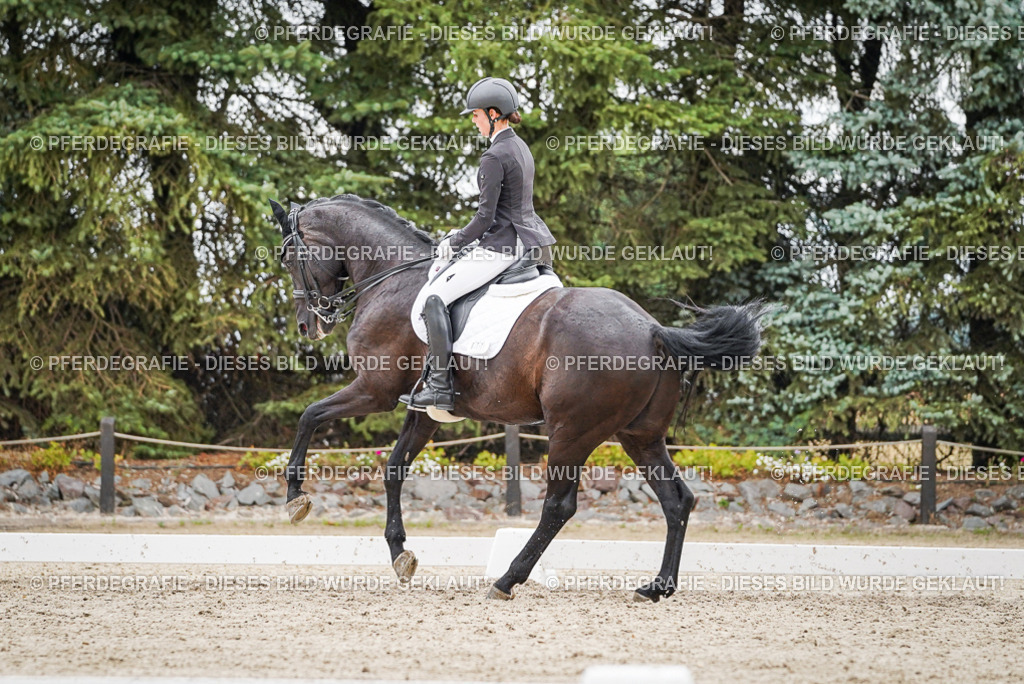 DSC04343 | Pferdegrafie