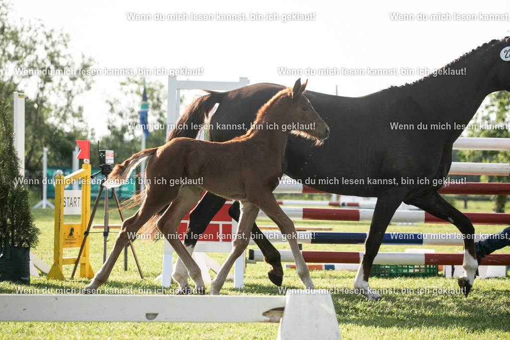598A7405 | photographylinaismer - Realisiert mit Pictrs.com