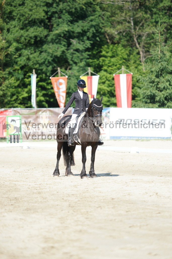 DSC02909 | equestrian-live-com