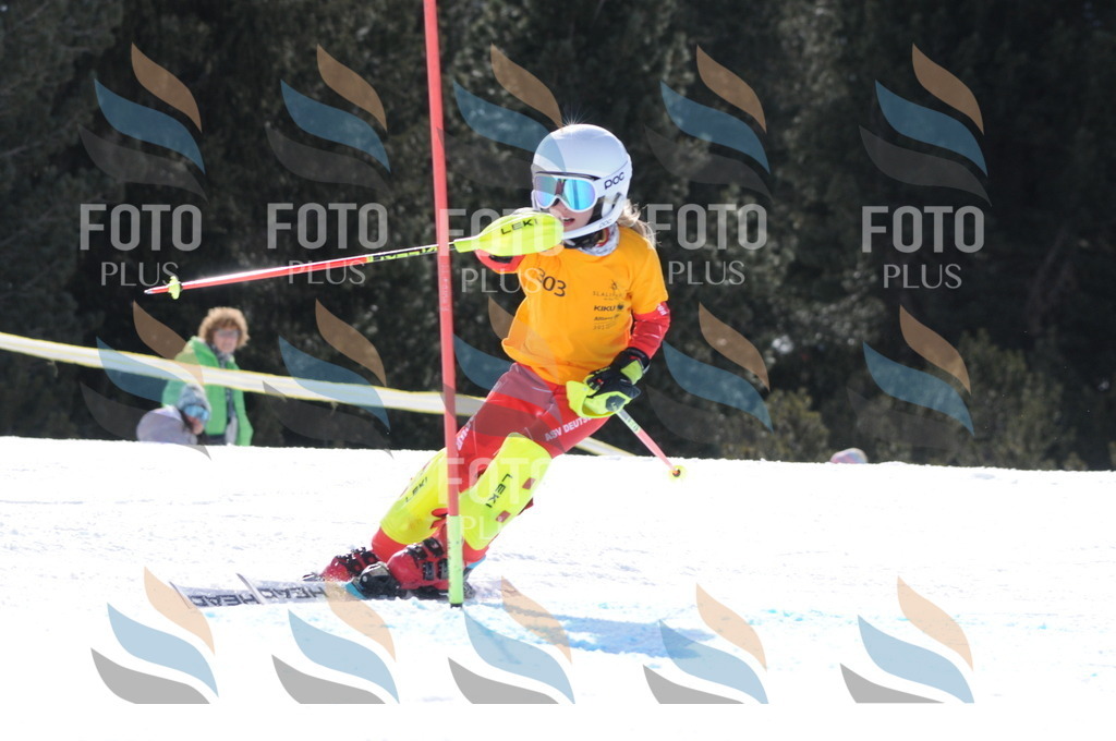 C9146 | holidayphoto