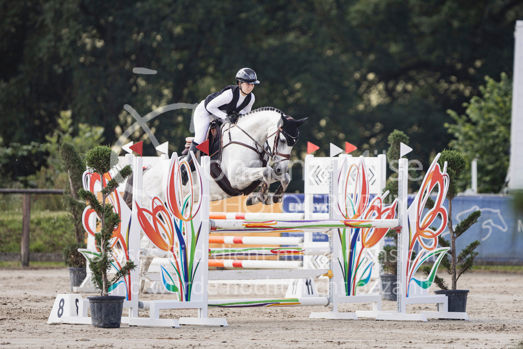 250629_PfSpTa_Stil-L2-332 | Deine schönsten Turniermomente als professionelle Fotos! Entdecke hochwertige Pferdesport-Fotografie im Online-Shop. Jetzt Fotos finden & bestellen!