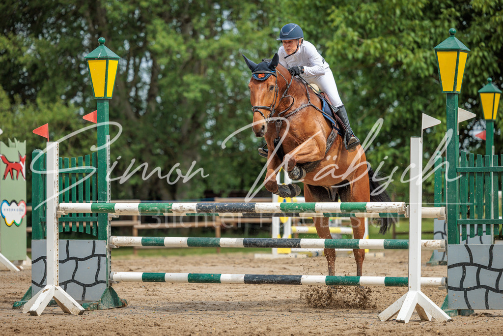 20260530-_3LI2948 | Tierfotografie Pferde, Hunde, Katzen, Haustiere.
Turnierfotografie Reitturniere, Reiten, Springreiten, Dressur in Hanau, dem Main-Kinzig-Kreis und dem Rhein-Main- Gebiet um Frankfurt