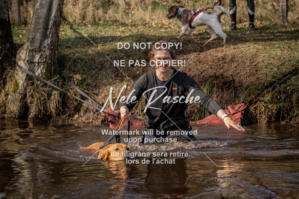 nelerasche_FS1330-1400_260 | nelerasche
