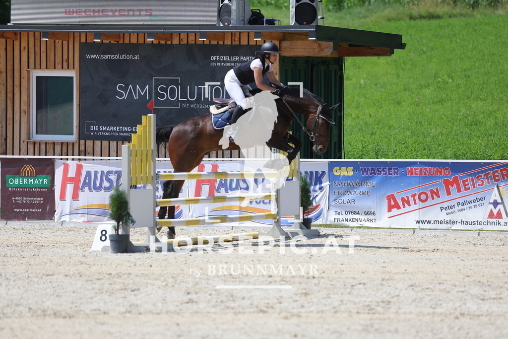 0P6A9119 | Willkommen bei Brunnmayr - Design & Fotografie – Ihrem Spezialisten für Reitturniere und Pferdeveranstaltungen in Oberösterreich, Salzburg und Bayern! Seit über 17 Jahren sind wir leidenschaftlich dabei.