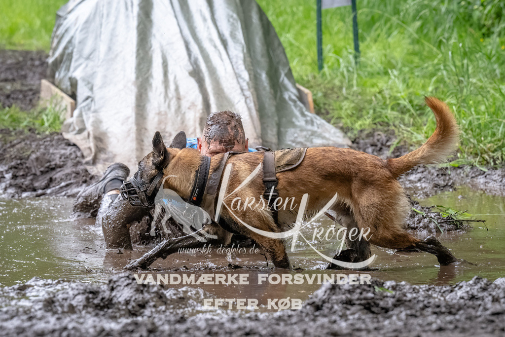 1642_ZZ94980-Bearbeitet | kk-dogfotos